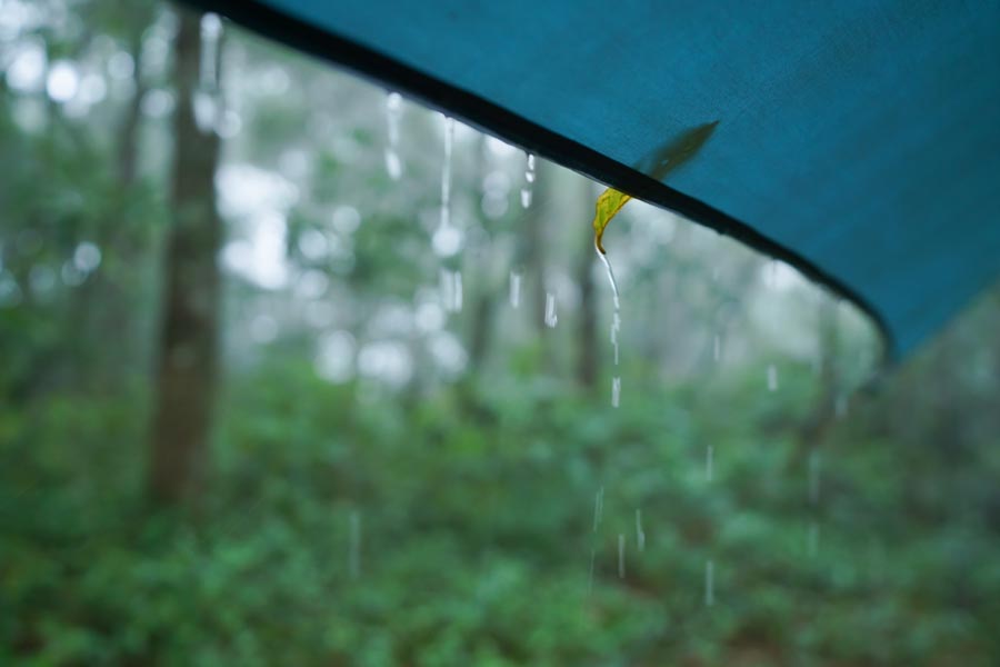 goûte de pluie sur tente